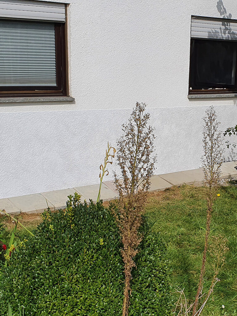 kewabo® gmbh reutlingen referenzen